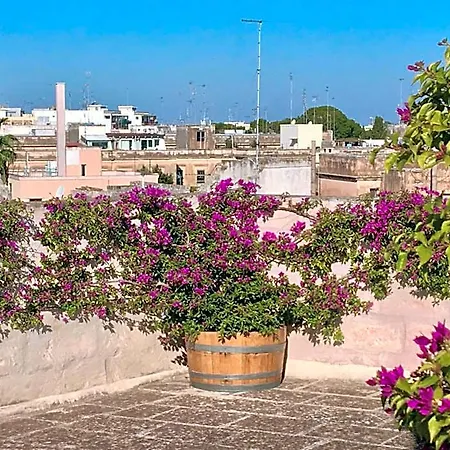 Palazzo Charlie 4* לצ'ה